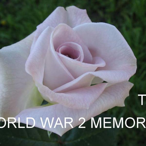 ЧГ-240: WRLD WR MMRL (WORLD WAR 2 MEMORIAL ROSE)