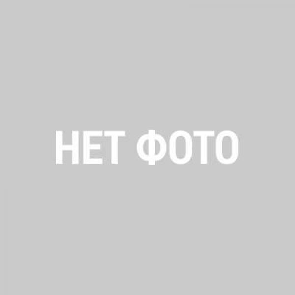 ДТ-146: Овсяница фиолетовая  (меднобурая) (Festuca chalcophaea (F. violacea))