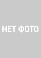 ДТ-146: Овсяница фиолетовая  (меднобурая) (Поставка под заказ из питомника Дикие Травы)