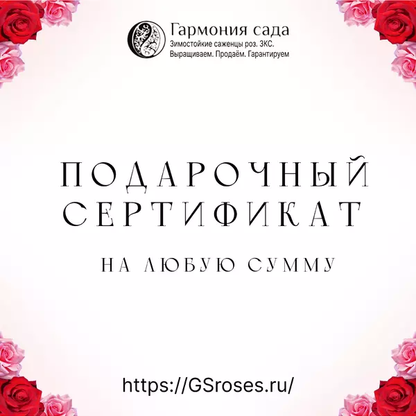 СФ-7: Сертификат на любую сумму ()