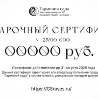 Подарочный сертификат на любую сумму
