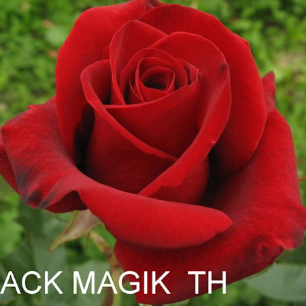 ЧГ-027: BLCK MGC (BLACK MAGIC)