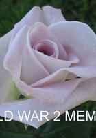 ЧГ-240: WRLD WR MMRL (WORLD WAR 2 MEMORIAL ROSE)