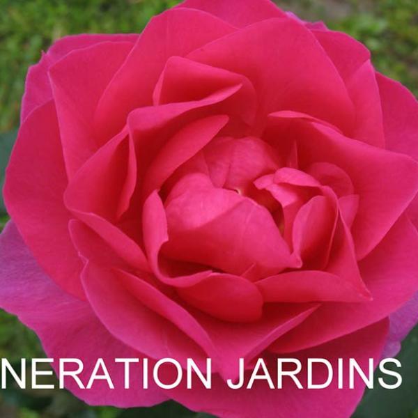 ФБ-079: GNRTN JRDN (GENERATION JARDIN)